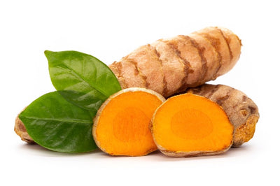 Gelbwurz oder Kurkuma – das „heilige Ambrosia“