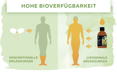 Was sind Liposomen?