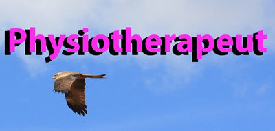 Der Beruf des Physiotherapeuten