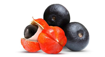 Guarana – die Alternative zum Kaffee