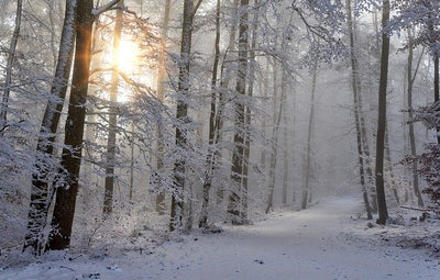 Mit Schwung durch den Winter, auch bei schlechtem Wetter aktiv sein!
