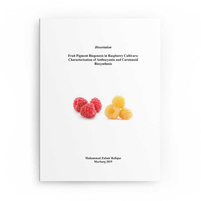 Fruit Pigment Biogenesis in Raspberry Cultivars: Characterisation of Anthocyanin and Carotenoid Biosynthesis