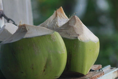 Nährwerte im Kokosmehl