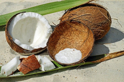 Kokosmehl selber herstellen