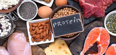 Vor- und Nachteile einer Protein Diät