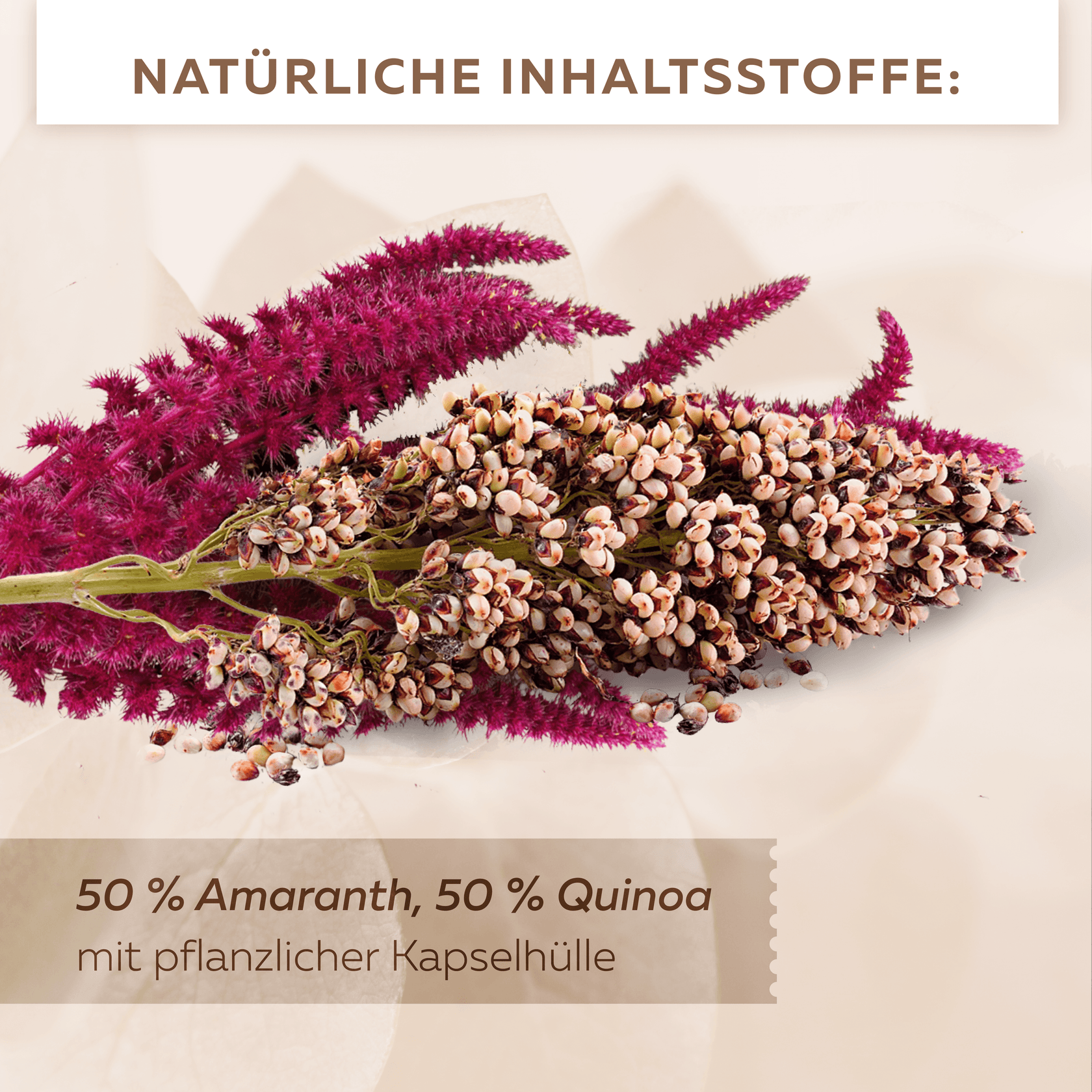 Inka Mood - Das Gold der Inkas aus Amaranth & Quinoa | Vinplus®